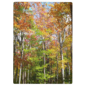 Porte-bloc Automne Forêt II Automne Paysage Photographie (Dos)