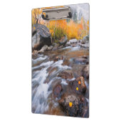 Porte-bloc Automne le long de Bishop Creek, CA (Gauche)