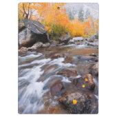 Porte-bloc Automne le long de Bishop Creek, CA (Dos)