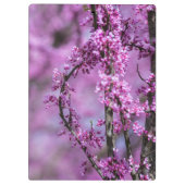 Porte-bloc Avondale Redbud Art (Dos)