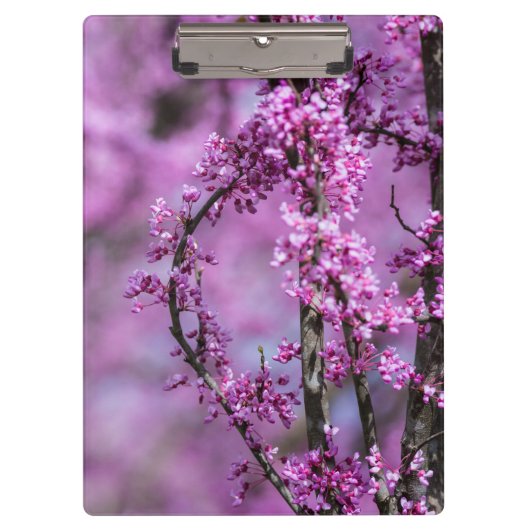 Porte-bloc Avondale Redbud Art (Devant)