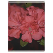 Porte-bloc Azalées assez roses (Dos)