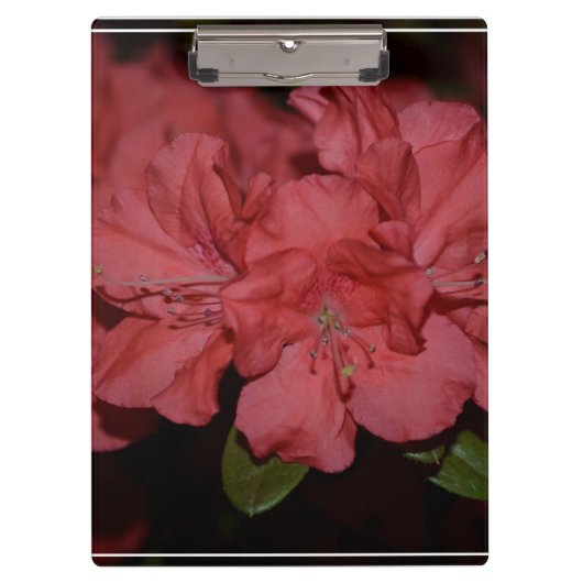 Porte-bloc Azalées assez roses (Devant)