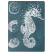 Porte-bloc Azure Seahorse Study I (Dos)