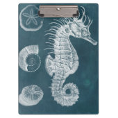 Porte-bloc Azure Seahorse Study I (Devant)