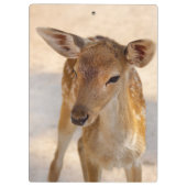Porte-bloc Baby Deer (Dos)