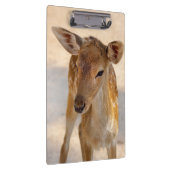 Porte-bloc Baby Deer (Swatch)