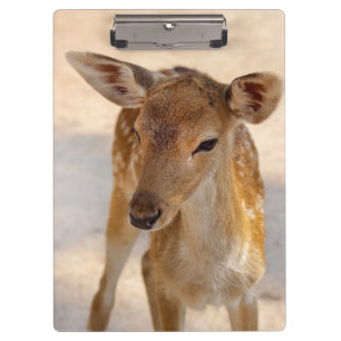 Porte-bloc Baby Deer