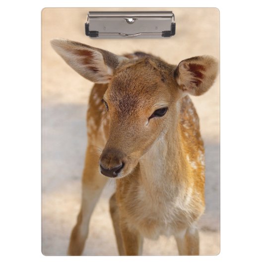 Porte-bloc Baby Deer (Devant)