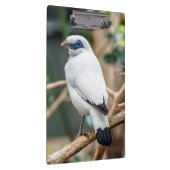 Porte-bloc Bali Mina Bird Porte - bloc (Swatch)