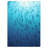 Porte-bloc Banc des poissons (Dos)