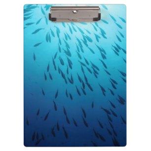 Porte-bloc Banc des poissons