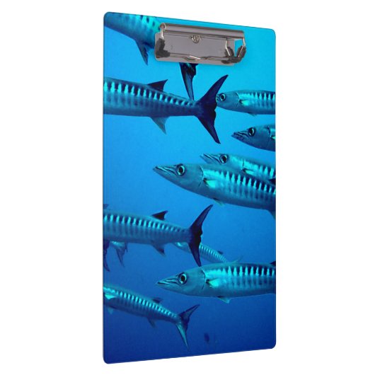 Porte-bloc Barracudas (Swatch)