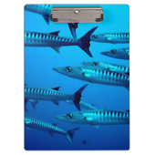 Porte-bloc Barracudas (Devant)