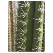 Porte-bloc Barrel Cactus II Désert Nature Photo (Dos)