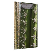 Porte-bloc Barrel Cactus II Désert Nature Photo (Swatch)