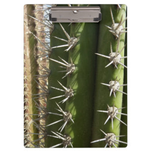 Porte-bloc Barrel Cactus II Désert Nature Photo