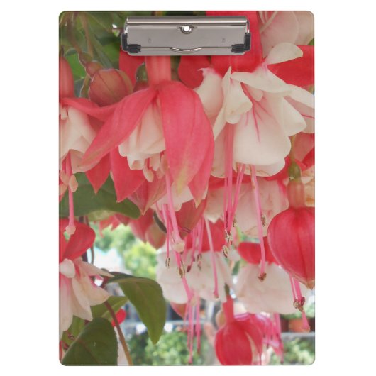 Porte-bloc Bashkirtseff (Devant)