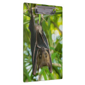 Porte-bloc Batte (Swatch)