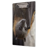 Porte-bloc Batte australienne (Gauche)