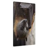 Porte-bloc Batte australienne (Swatch)