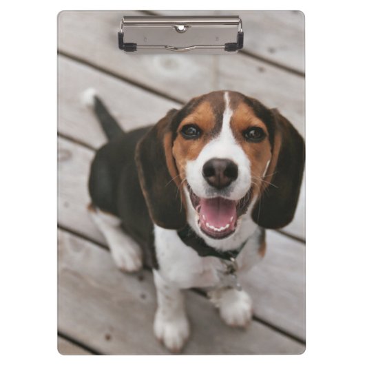 Porte-bloc Beagle_puppy assis (Devant)