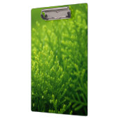 Porte-bloc Beau arrière - plan feuille vert (Gauche)