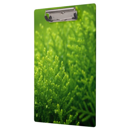 Porte-bloc Beau arrière - plan feuille vert (Gauche)