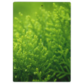 Porte-bloc Beau arrière - plan feuille vert (Dos)