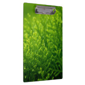 Porte-bloc Beau arrière - plan feuille vert (Swatch)