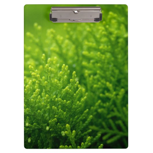 Porte-bloc Beau arrière - plan feuille vert (Devant)