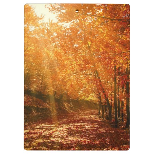 Porte-bloc Beau automne (Dos)