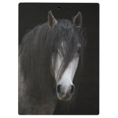 Porte-bloc Beau Cheval (Dos)