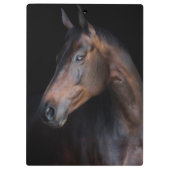 Porte-bloc Beau Cheval (Dos)