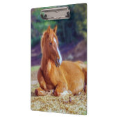 Porte-bloc Beau Colt à cheval (Gauche)