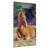 Porte-bloc Beau Colt à cheval (Swatch)