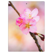 Porte-bloc Beautiful Sakura Cherry (Dos)