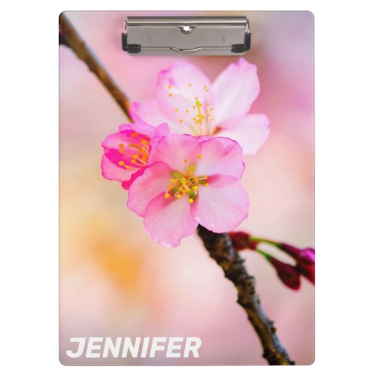 Porte-bloc Beautiful Sakura Cherry (Devant)