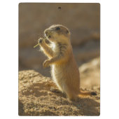 Porte-bloc Bébé chien de prairie mangeant, Arizona (Dos)