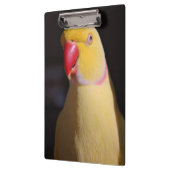 Porte-bloc Bec de perruche de Ringneck d'Indien de Lutino (Gauche)