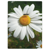 Porte-bloc Bee on Daisy Alaskan Summer Nature (Dos)