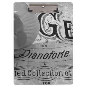 Porte-bloc Begonia Gems Pianoforte