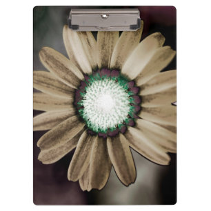 Porte-bloc Beige Rustic Daisy Porte - bloc