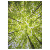 Porte-bloc Belle forêt verte (Dos)
