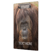 Porte-bloc Belle photographie de Borneo Orangutan (Gauche)