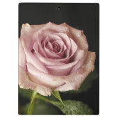 Porte-bloc belle rose rose (Dos)