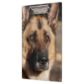 Porte-bloc Berger allemand vigilant (Gauche)