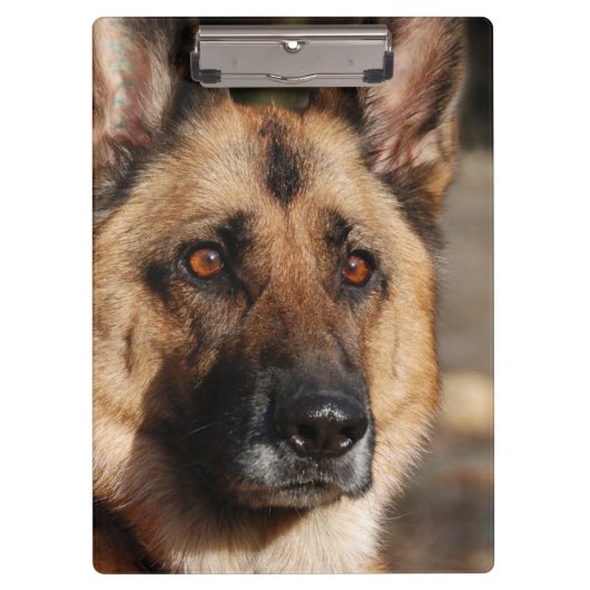 Porte-bloc Berger allemand vigilant (Devant)