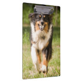 Porte-bloc Berger Australien Jouant Avec Ball (Swatch)