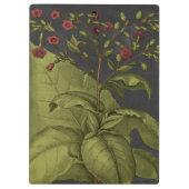 Porte-bloc Besler Dramatique I (Dos)